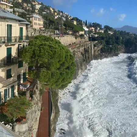 Lägenhet La Casa Di Samantha A Regina A Picco Sul Mare Con Piscina Pieve Ligure