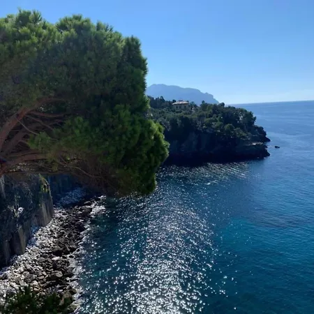 Apartment La Casa Di Samantha A Regina A Picco Sul Mare Con Piscina Pieve Ligure