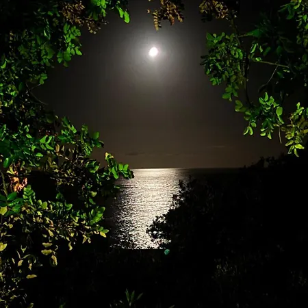 Apartament La Casa Di Samantha A Regina A Picco Sul Mare Con Piscina *