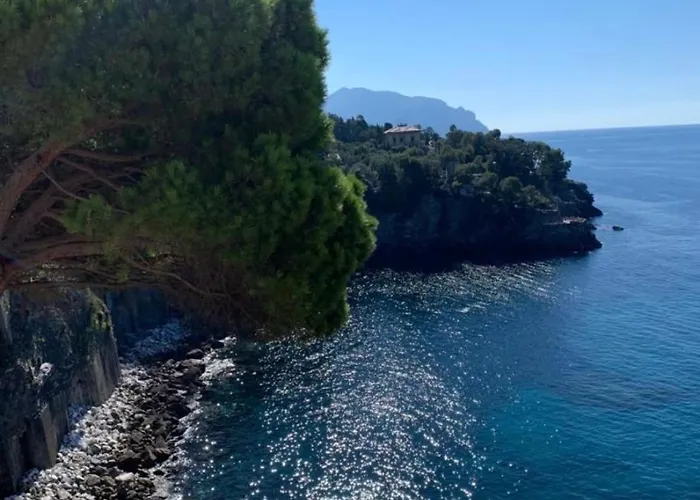 Appartamento La Casa Di Samantha A Regina A Picco Sul Mare Con Piscina Pieve Ligure